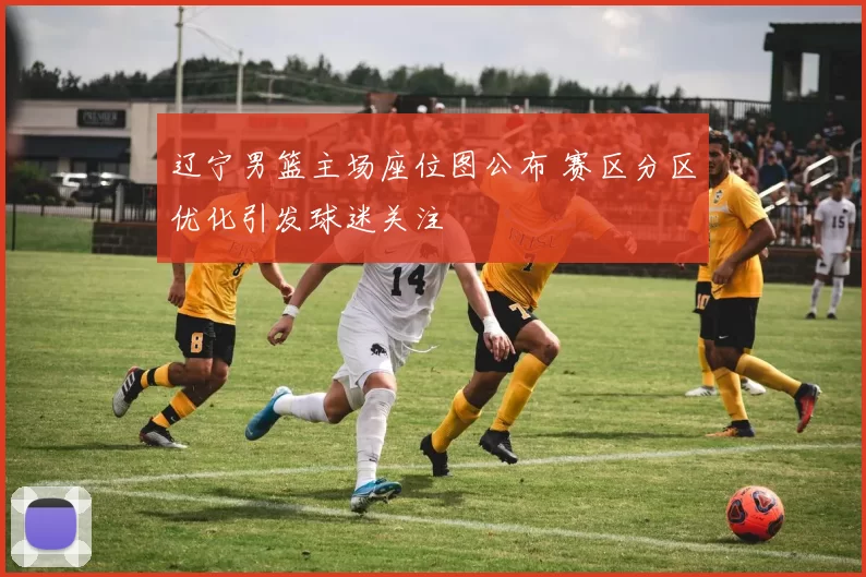 辽宁男篮主场座位图公布 赛区分区优化引发球迷关注