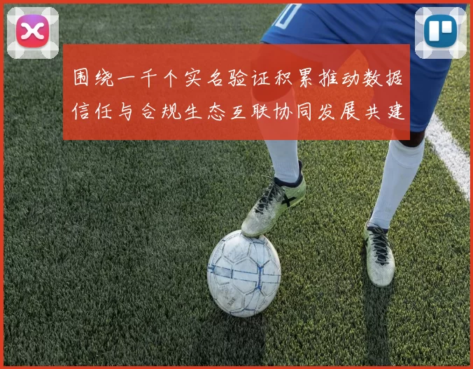 围绕一千个实名验证积累推动数据信任与合规生态互联协同发展共建