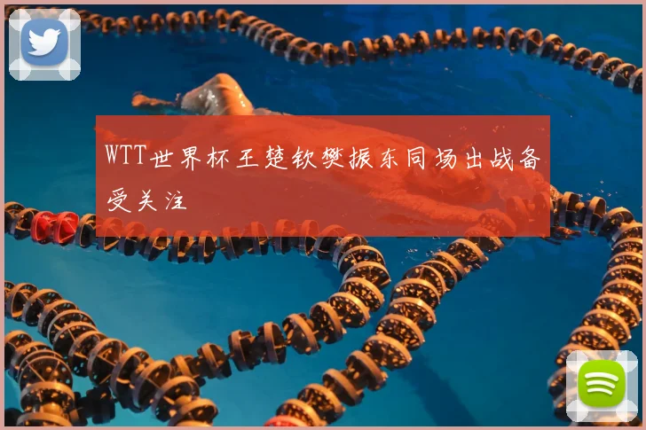 WTT世界杯王楚钦樊振东同场出战备受关注