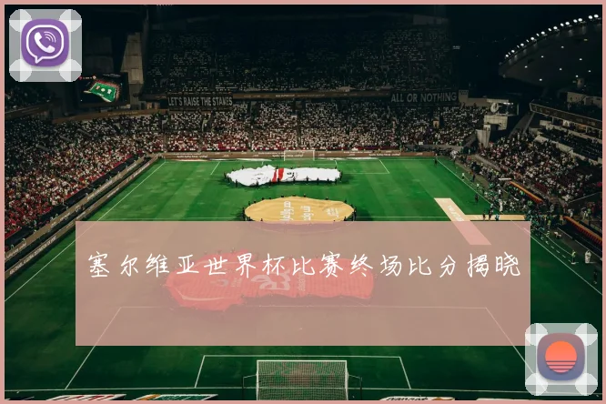 塞尔维亚世界杯比赛终场比分揭晓